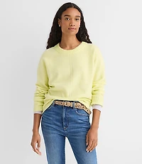 Petite Seamed Raglan Sweater