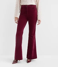 Tall Slim Flare Pants Stretch Velvet