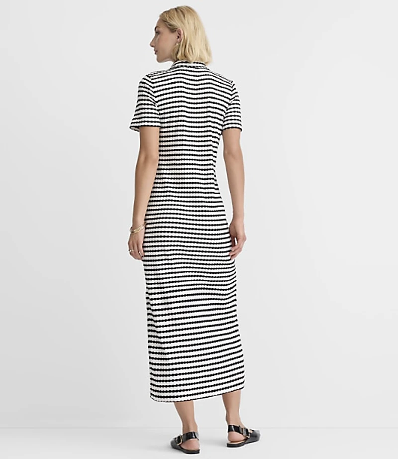 Petite Striped Pointelle Collared Midi Dress