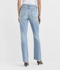 Rivete Petite Curvy Mid Rise Stovepipe Jeans Aura Wash