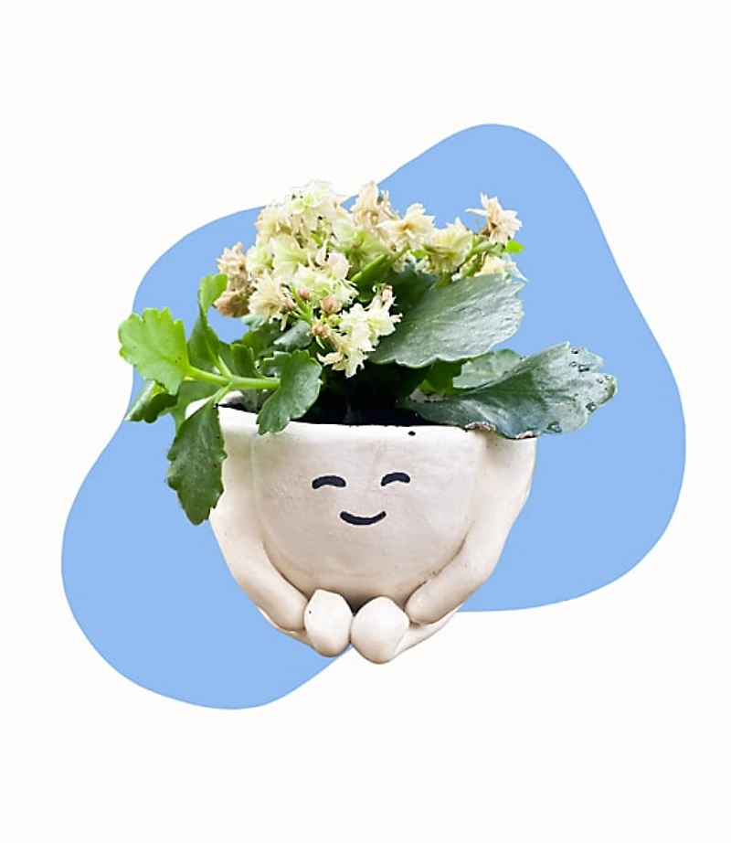 Pottery With A Purpose Beginner Pottery Kit - Air Dry