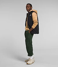 Men’s Apex Bionic 3 Vest