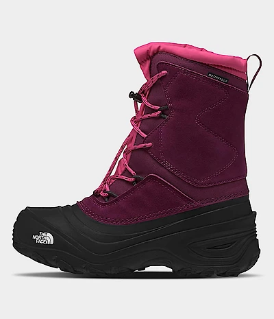 Youth Alpenglow V Waterproof Boots