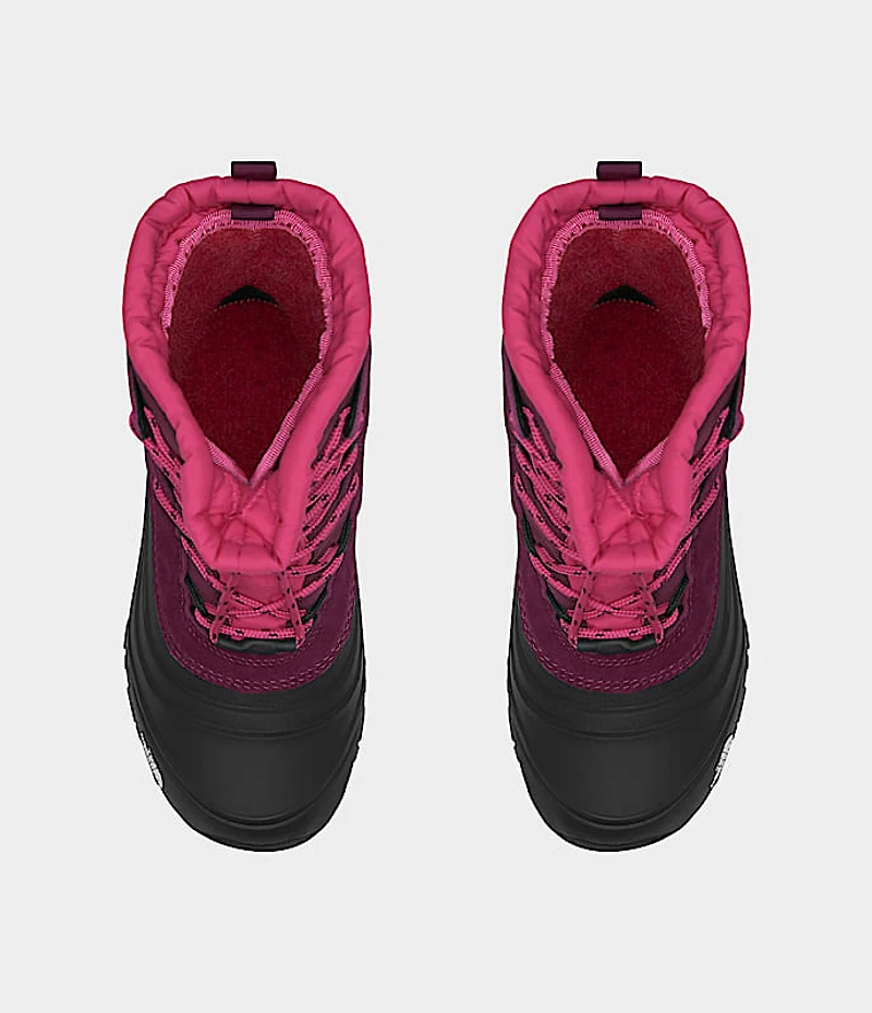 Youth Alpenglow V Waterproof Boots