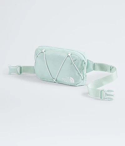 Terra Lumbar—1L