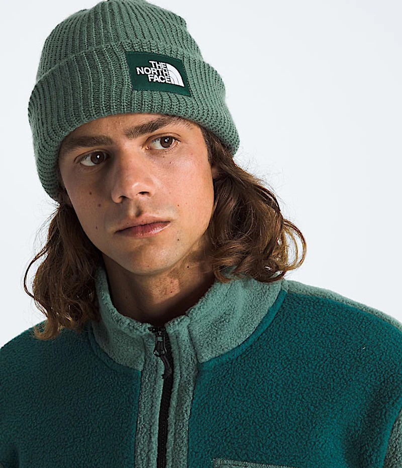 Salty Lined Beanie