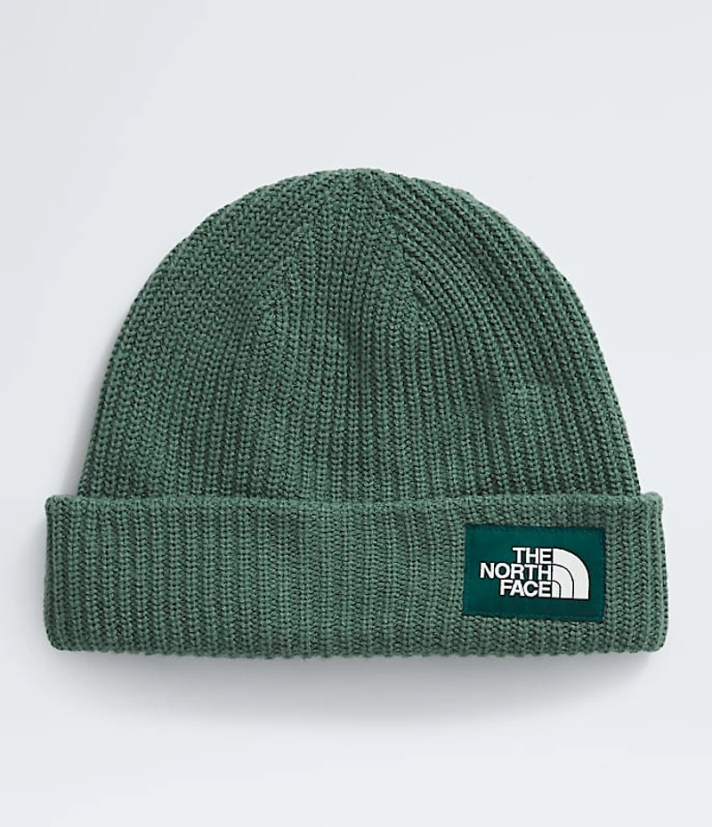 Salty Lined Beanie
