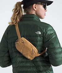 Terra Lumbar—1L