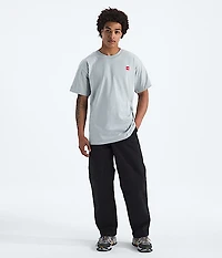 Men’s Short-Sleeve TNF Red Box Everest Heavyweight Tee