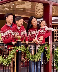 Mens Matching Family Gingerbread Fairisle Sweater - Holiday Express