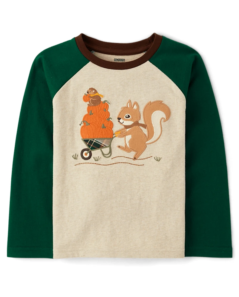 Boys Embroidered Squirrel Raglan Top - Fall Celebrations