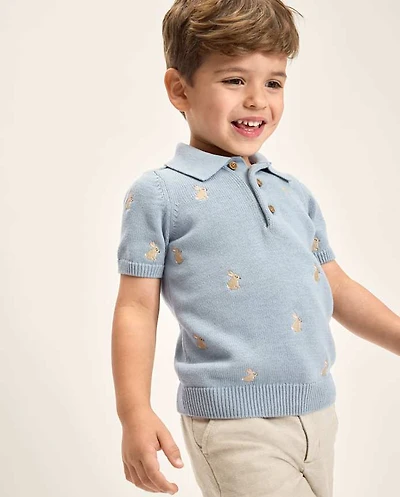 Boys Embroidered Bunny Sweater Polo - Enchanted Garden