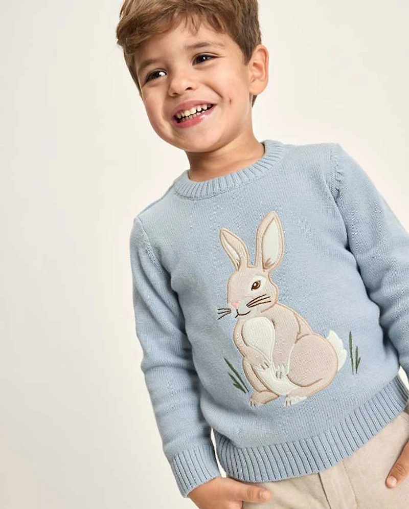 Boys Embroidered Bunny Sweater - Enchanted Garden