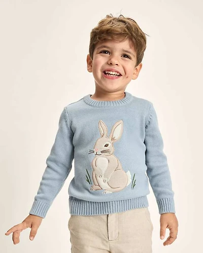 Boys Embroidered Bunny Sweater - Enchanted Garden