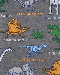 Baby And Toddler Boys Dino Snug Fit Cotton Pajamas 2-Pack