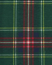 Baby And Toddler Matching Family Holly Jolly Snug Fit Cotton Pajamas