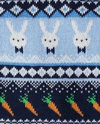 Boys Intarsia Bunny Sweater Vest
