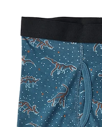 Lot de 5 boxers dinosaures pour garçons