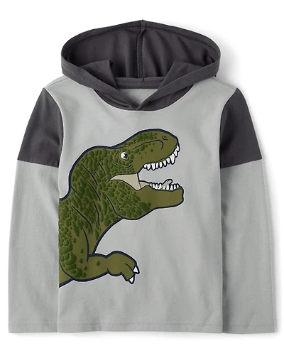 Baby And Toddler Boys Graphic Hooded Top