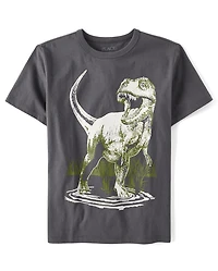 Boys Dino Graphic Tee
