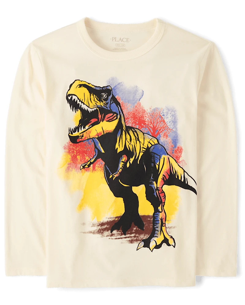 Boys Dinosaur Graphic Tee