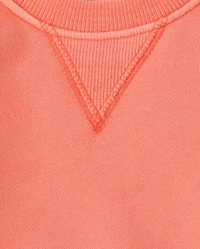 Baby And Toddler Boys Garment Dyed Premium Fleece Sweatshirt