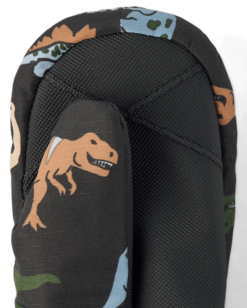 Toddler Boys Print Ski Mittens