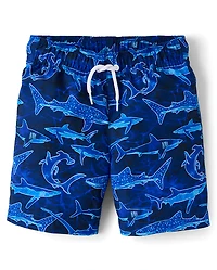 Boys Print Swim Trunks