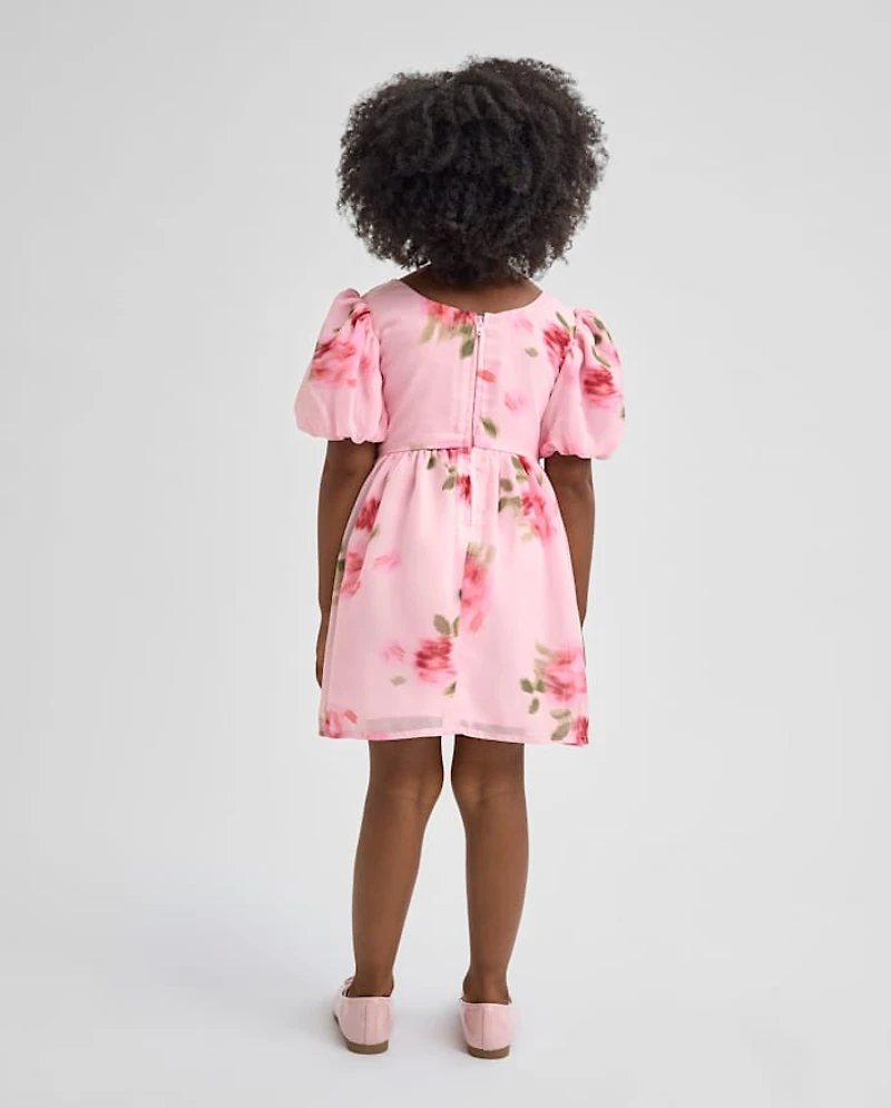Toddler Girls Floral Chiffon Fit And Flare Dress