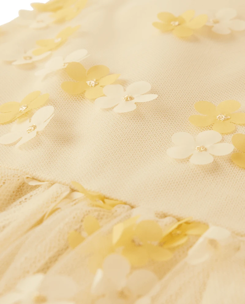 Girls 3D Floral Mesh Fit And Flare Dress