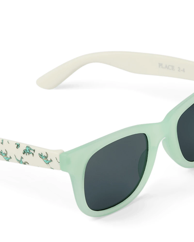 Toddler Boys Dino 2-Piece Sunglasses Set