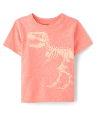 Baby And Toddler Boys Marled Dino Graphic Tee