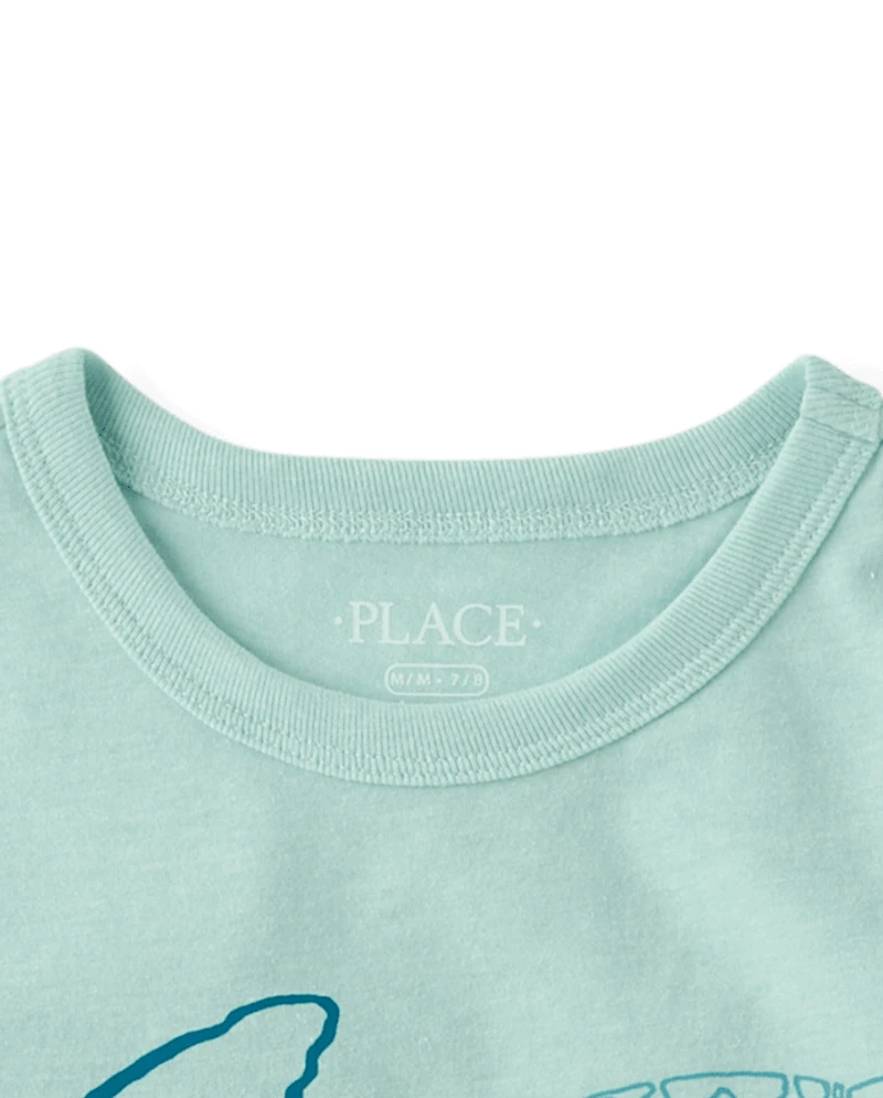 Boys Turtle Graphic Tee