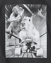 Boys Cappy Dino Graphic Tee