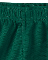 Baby And Toddler Boys Quick Dry Striped Lined Mesh Active Shorts