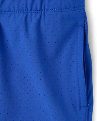Boys Quick Dry Lined Mesh Active Shorts