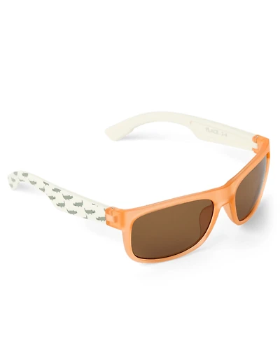 Toddler Boys Colorblock Sunglasses