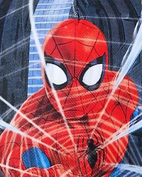 Boys Spider-Man™ Baseball Hat