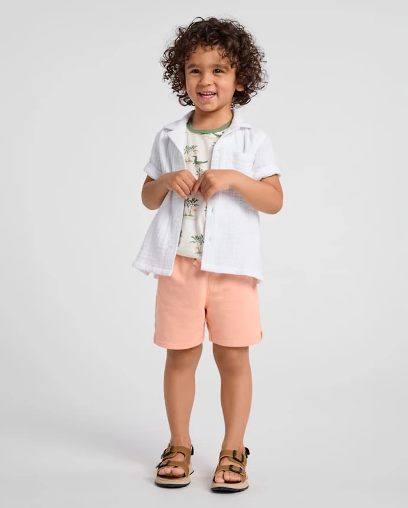 Baby And Toddler Boys Crocodile 2-Piece Outfit Set