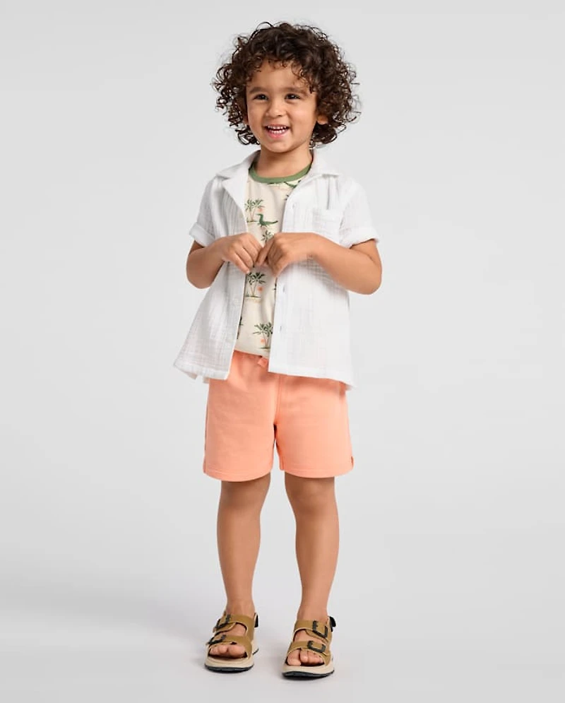 Baby And Toddler Boys Palm Tree French Terry Active Shorts 3-Pack