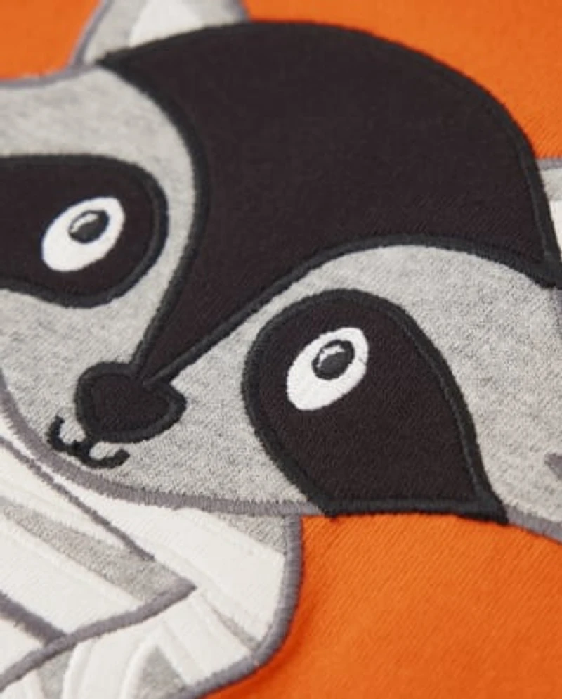 Boys Embroidered Raccoon Mummy Top - Trick or Treat