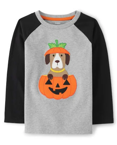 Boys Embroidered Dog Raglan Top - Trick or Treat