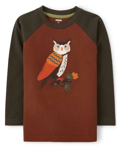 Boys Embroidered Owl Raglan Top - Autumn Harvest