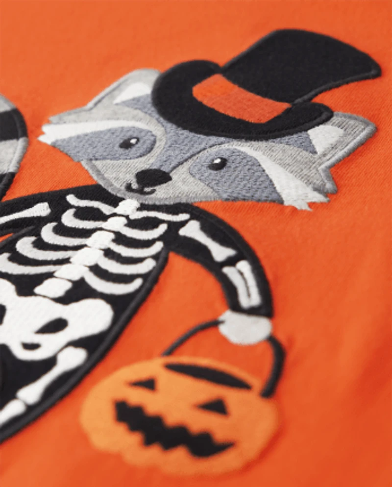 Boys Embroidered Raccoon Raglan Top - Trick or Treat