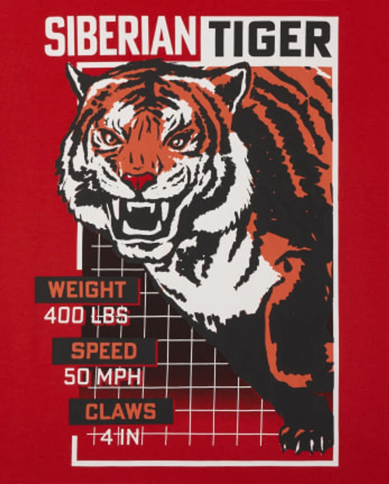 Boys Animal Graphic Tee 3-Pack