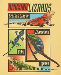 Boys Animal Graphic Tee 3-Pack