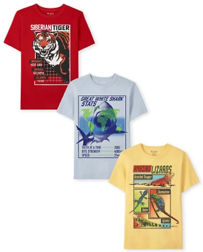 Boys Animal Graphic Tee 3-Pack