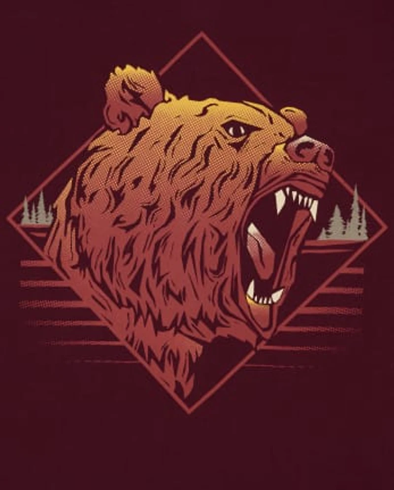 Boys Animal Graphic Tee 2-Pack