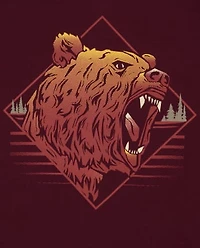 Boys Animal Graphic Tee 2-Pack