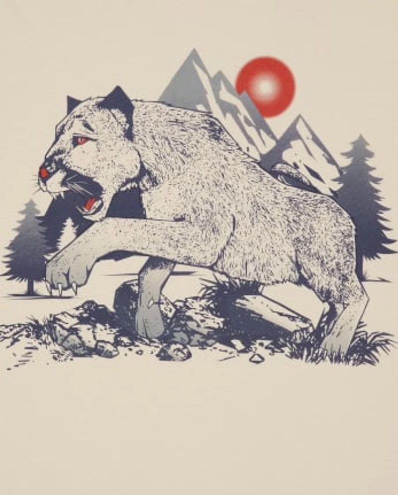 Boys Animal Graphic Tee 2-Pack